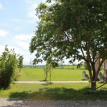 New Flowers Farm B&B Noceto Bagian luar foto