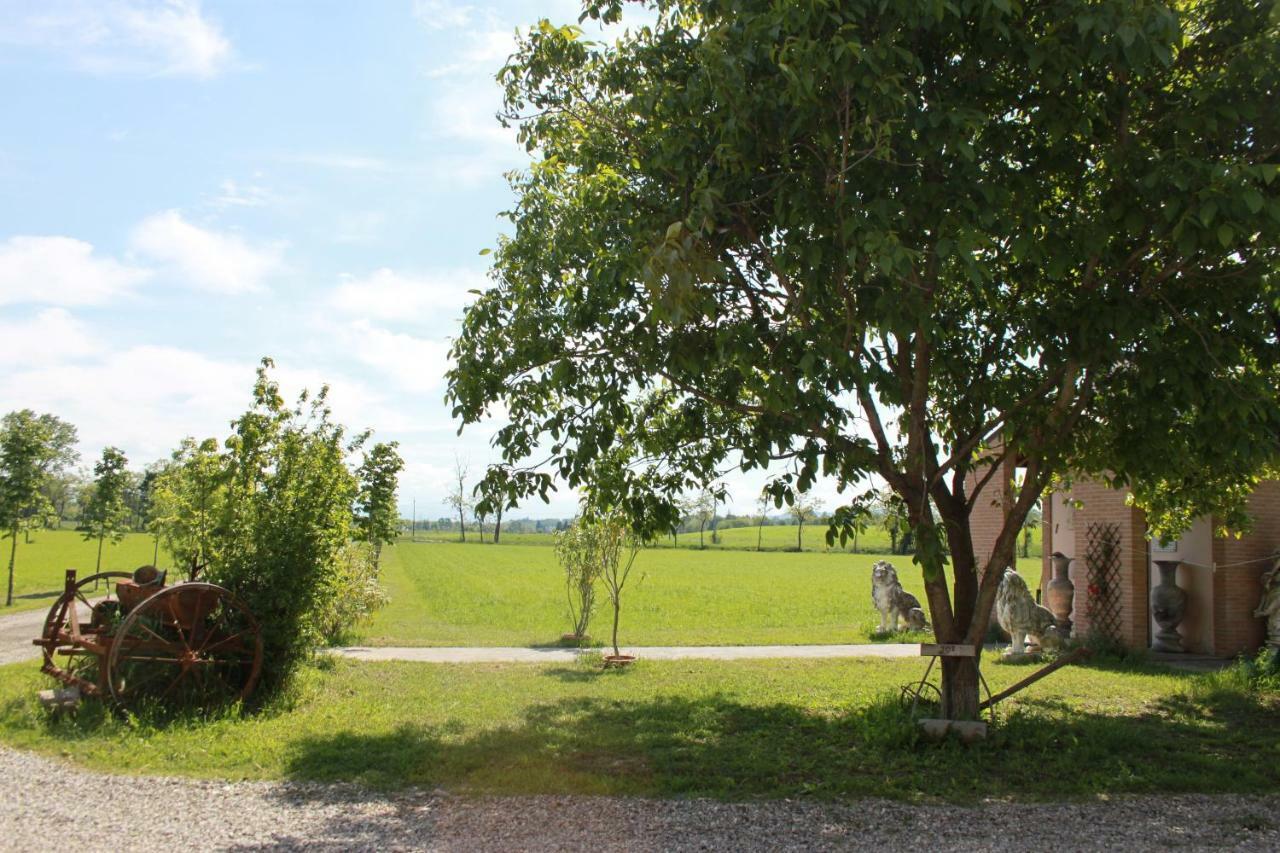 New Flowers Farm B&B Noceto Bagian luar foto