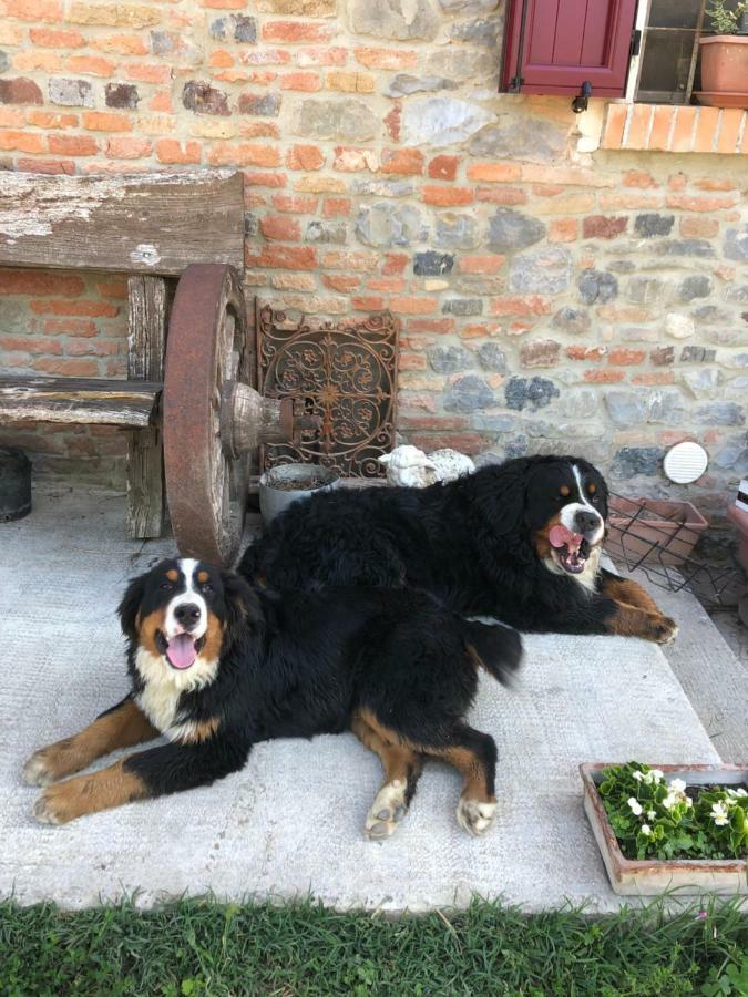 New Flowers Farm B&B Noceto Bagian luar foto